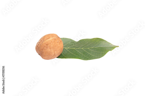 Nut and leaf on a white.
