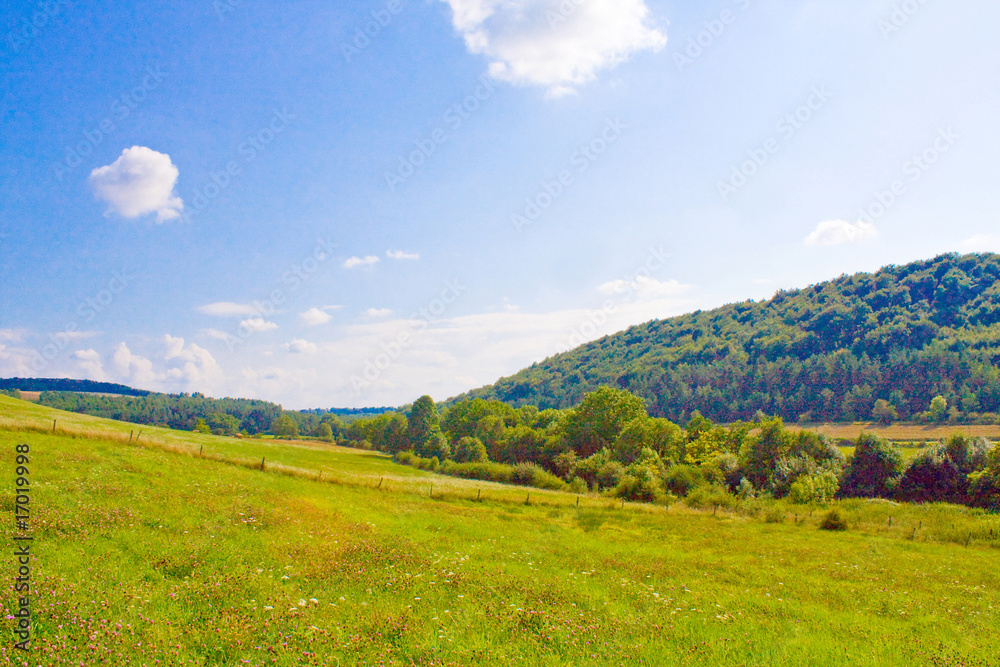 Obraz premium Eine Idyllische Wiese im Sommer