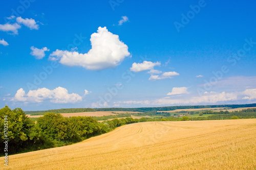 Feld nach der Ernte