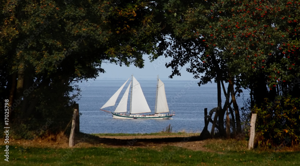 Idylle; Segelboot am Ufer durch Bäume gesehen