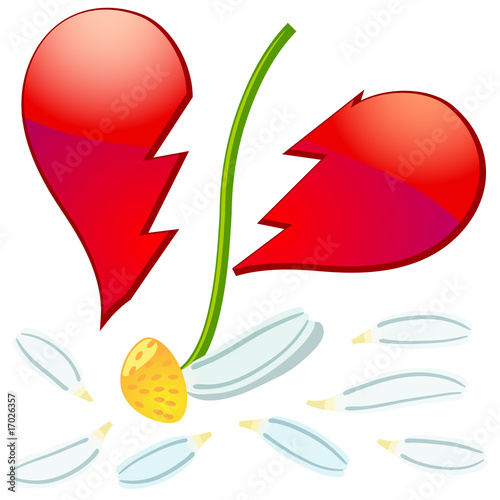 Broken Heart and camomile