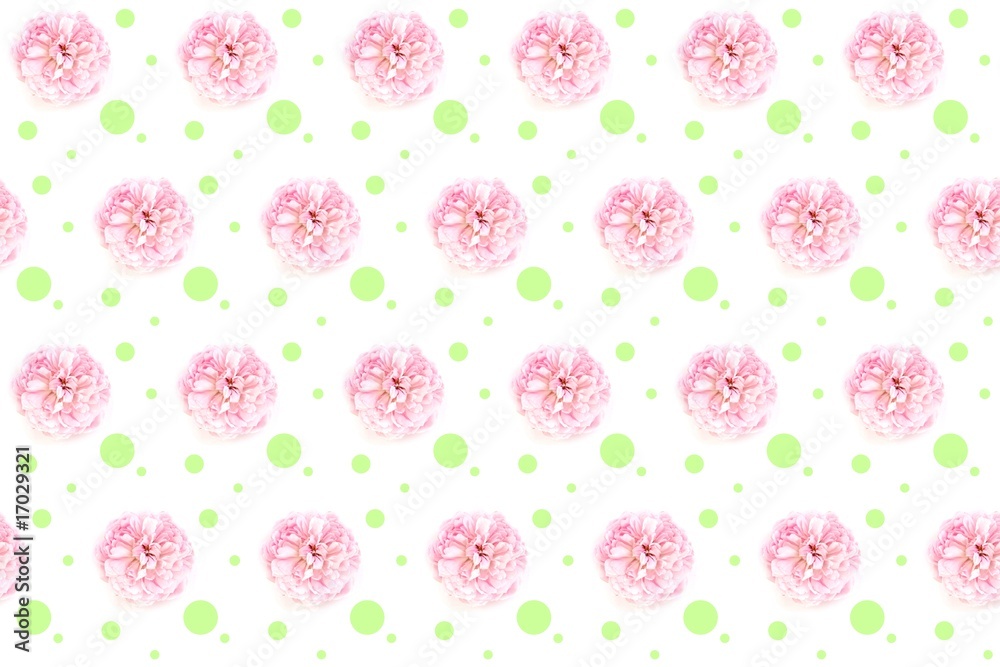 Rose Geschenkpapier Tapete Background Rose Geschenkpapier Tapete Background
