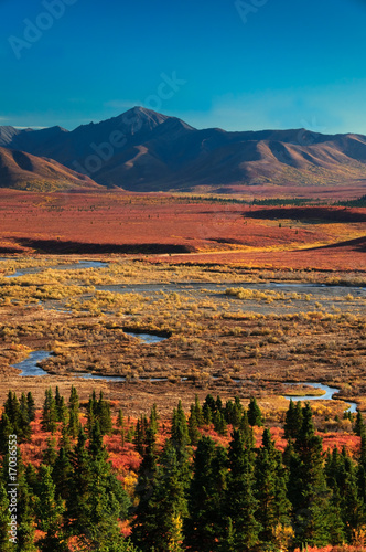 Denali National Park in autumn