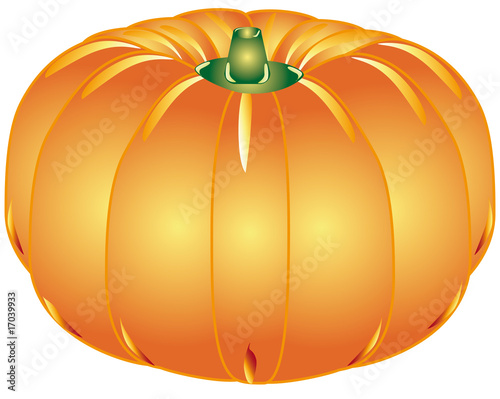 zucca