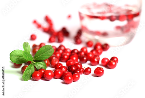 Red cranberries.