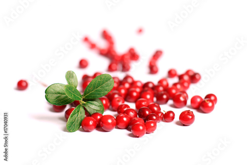 Red cranberries.