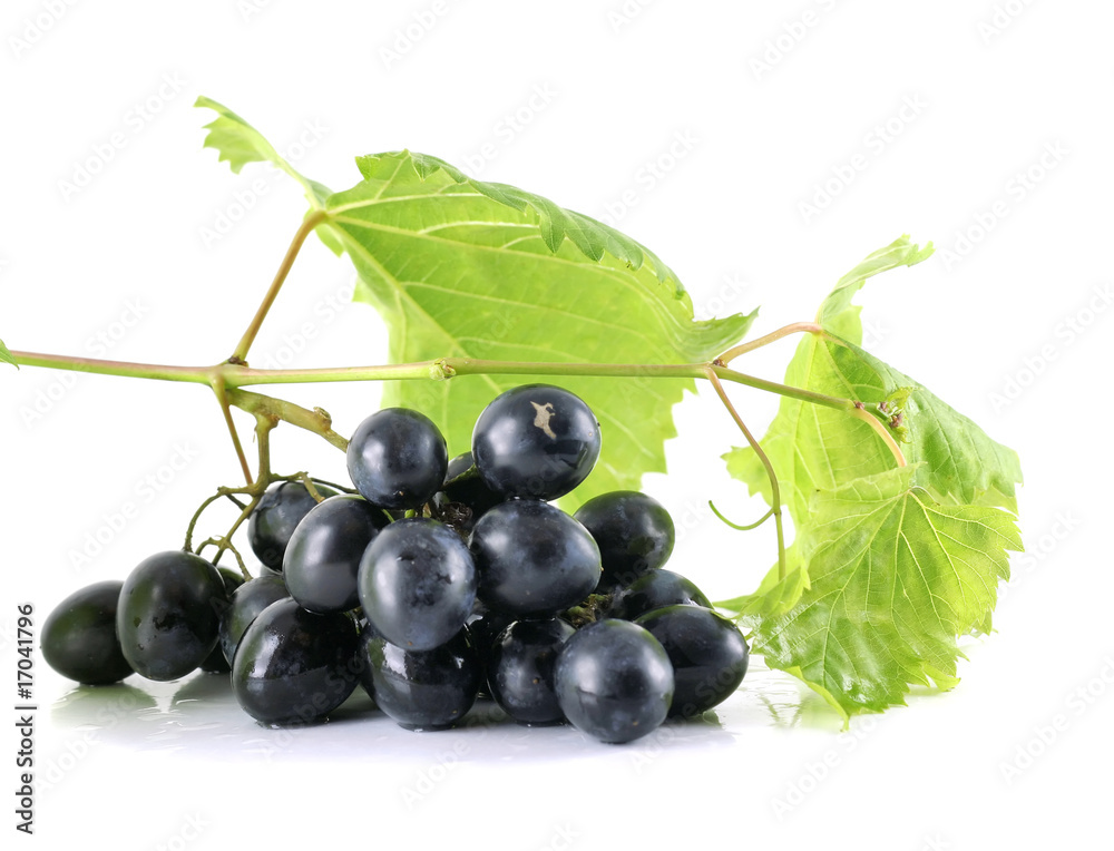 Fototapeta premium Black grapes isolated
