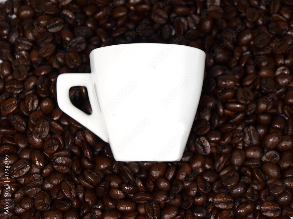 Fototapeta premium White empty cup of coffee on coffee beans background