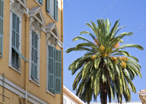 Hausfassade und Palme in der Altstadt von Nizza © Daniel Etzold