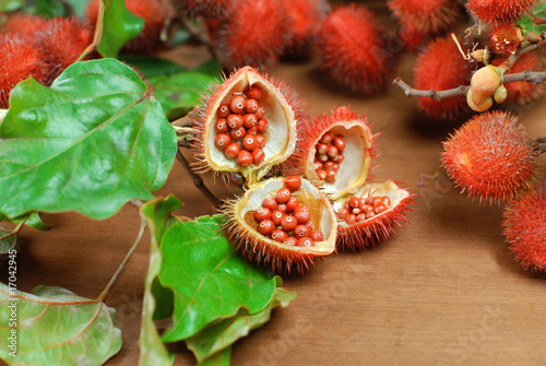 Urucum aberto
