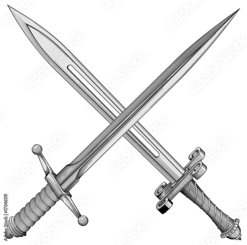 Two swords vector