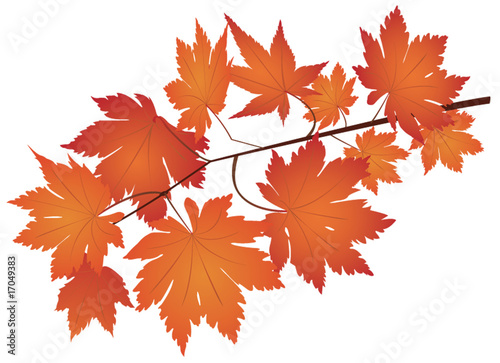Autumn