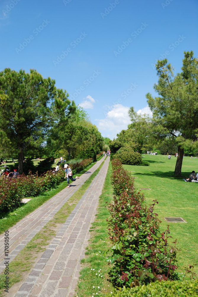 Vialetto nel parco Vialetto nel parco