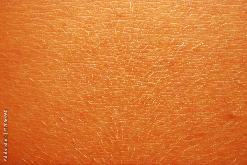 Fototapeta premium Skin Texture