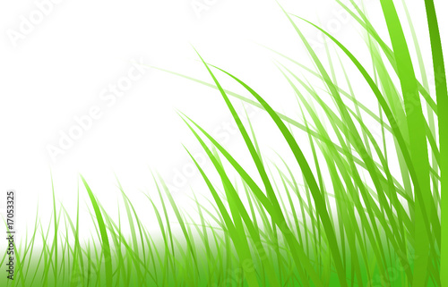gras-wiese-illustration-vektor