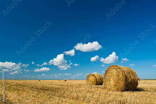 hay stacks in autumn field