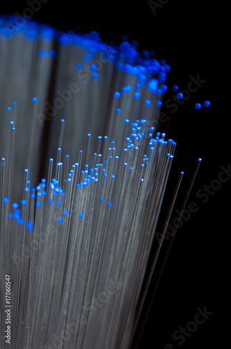 Optical fibers