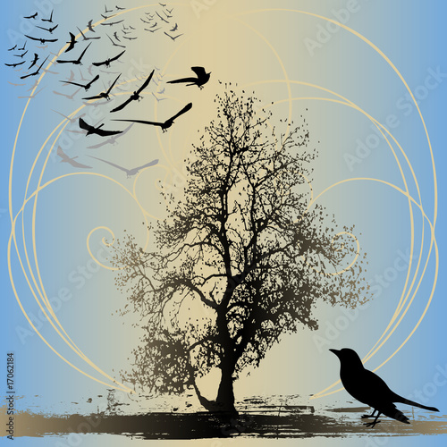 Home To Roost