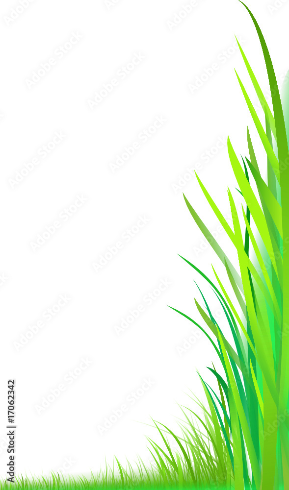 Fototapeta premium gras-wiese-low-angel-view