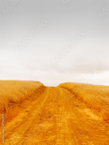 Empty Rural Road