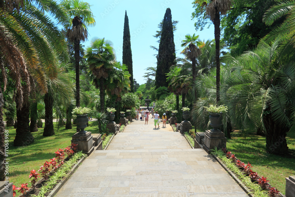 alley in Sochi arboretum alley in Sochi arboretum