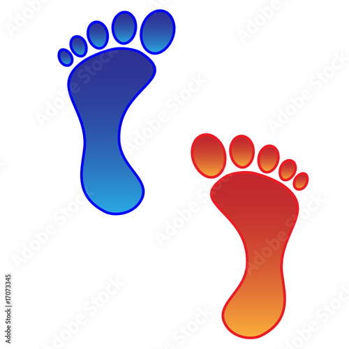 Foot