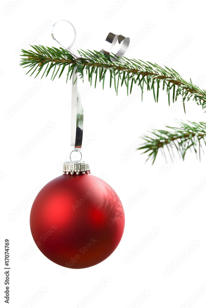 Christmas tree bauble on pine tree branch Christmas tree bauble on pine tree branch