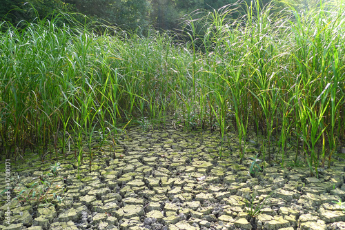 Trockengelegter See photo