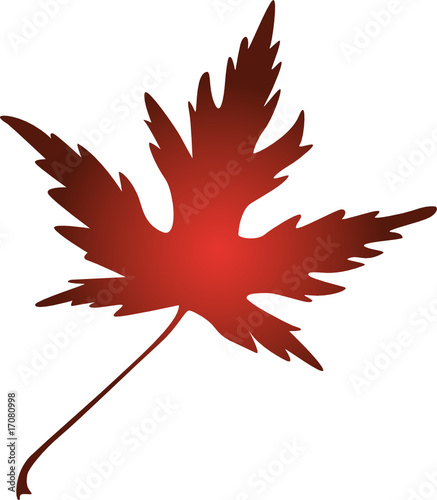 Herbstblatt rot-braun