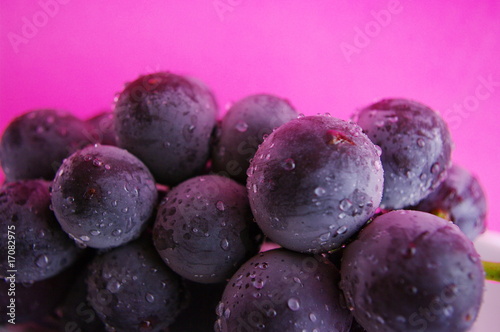 Wallpaper Mural 巨峰色 Torontodigital.ca