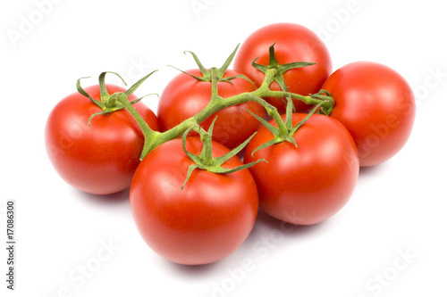 Tomaten (Solanum lycopersicum)