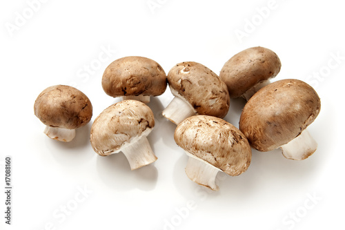 Cremini Mushrooms Isolated on White