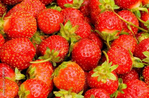 Fototapeta Naklejka Na Ścianę i Meble -  Lots of strawberries arranged as the background