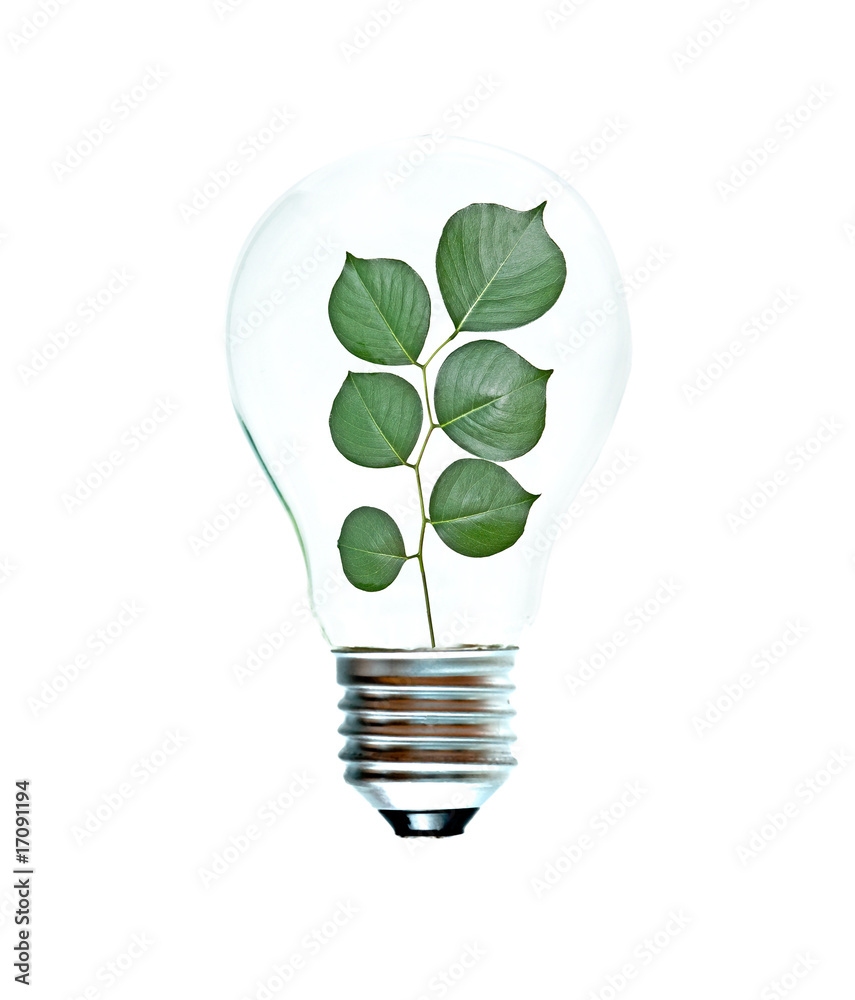 Incandescent light bulb with a tree shoot as the filament Incandescent light bulb with a tree shoot as the filament