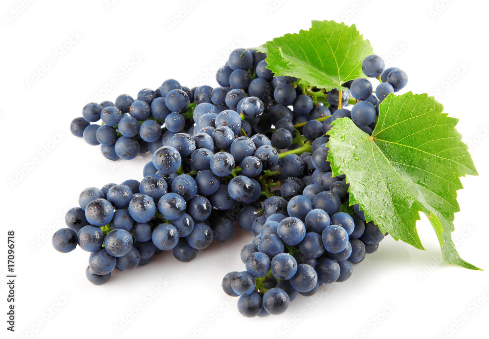 blue grape with green leaves isolated fruit blue grape with green leaves isolated fruit
