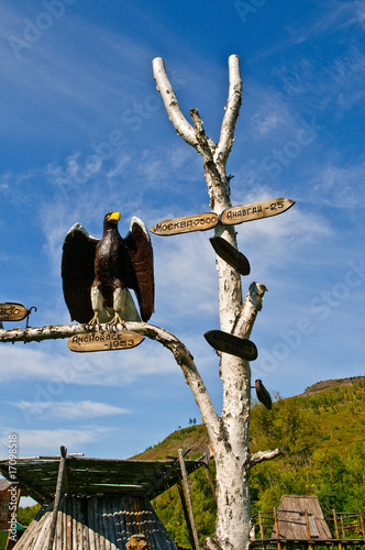 der Adler weist den Weg photo