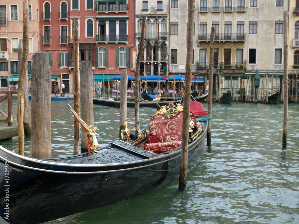 Venice  Canal Grande