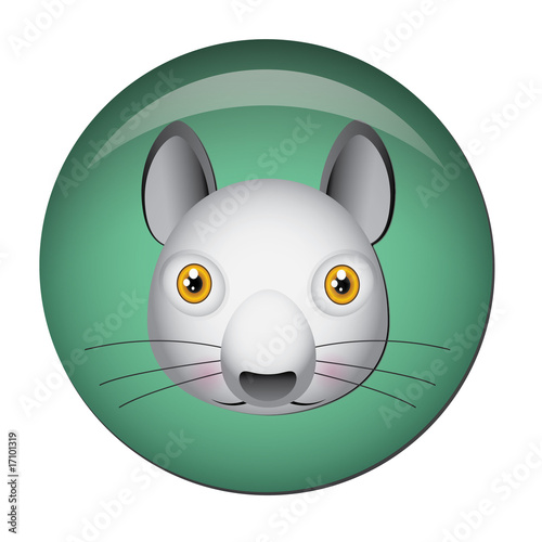 Chapa cabeza de ardilla gris
