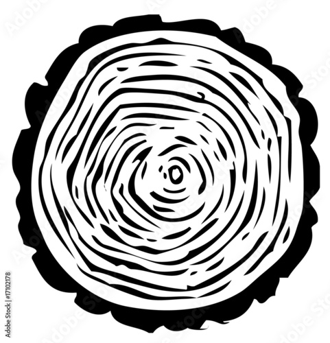 tree-ring illustration