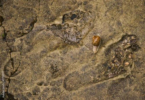 Footsteps in stone