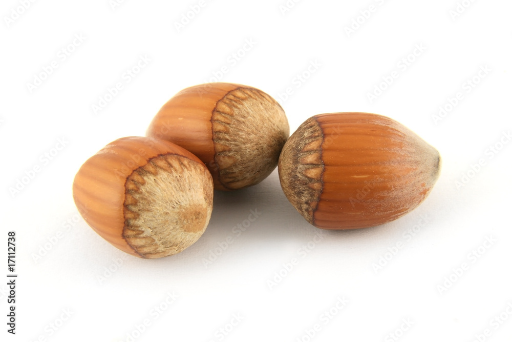 Hazelnut Hazelnut