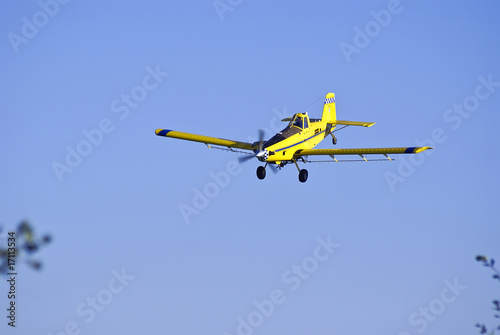 Airplane spraying insecticide on a cornfield
