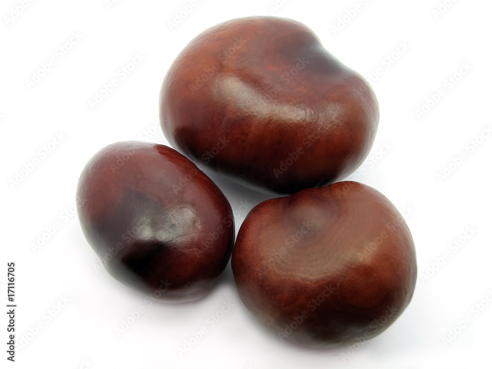 chestnuts chestnuts
