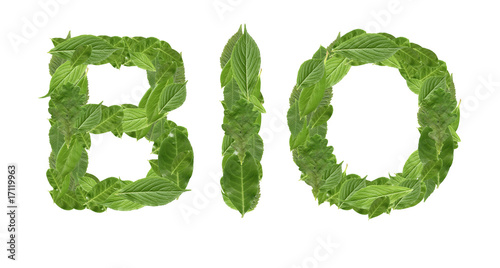 mot bio feuilles vertes
