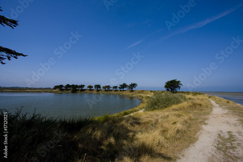 part of the island of noirmoutier