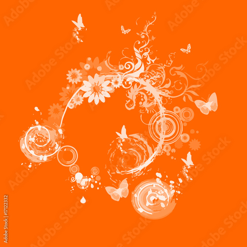 FLORAL ORANGE PAPILLONS