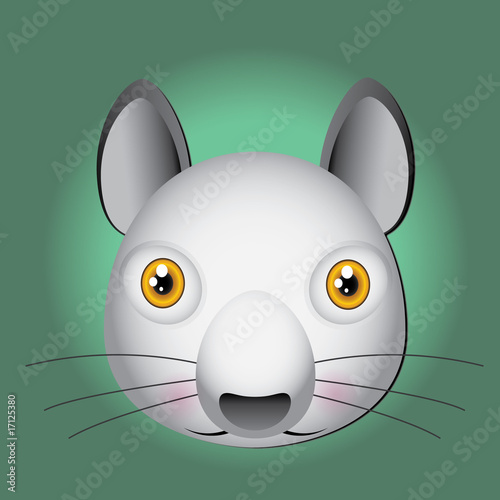 Cabeza de ardilla gris