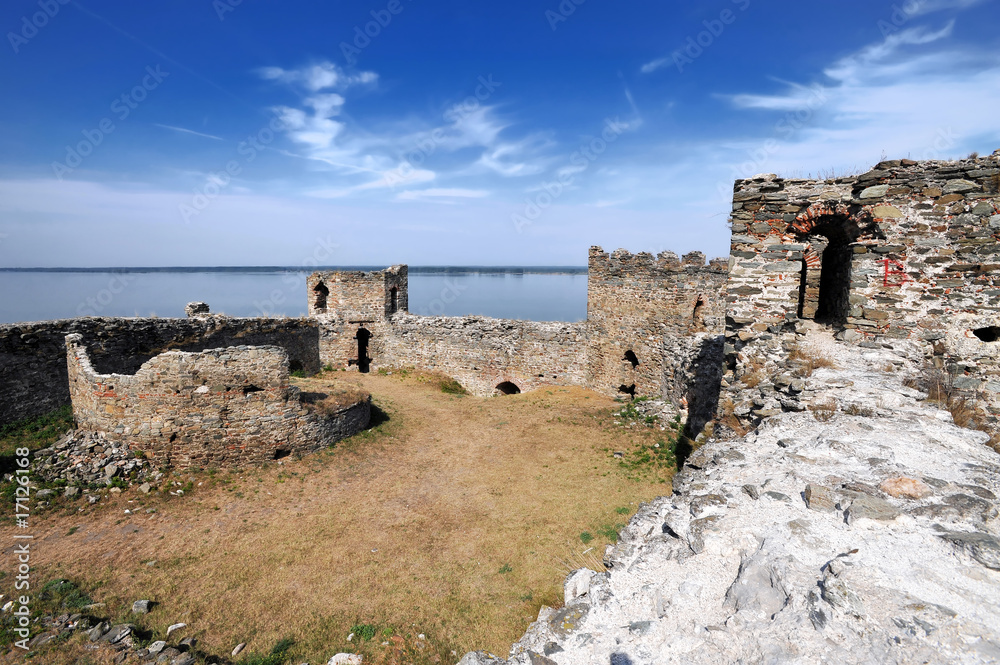 Obraz premium Fortress Ram