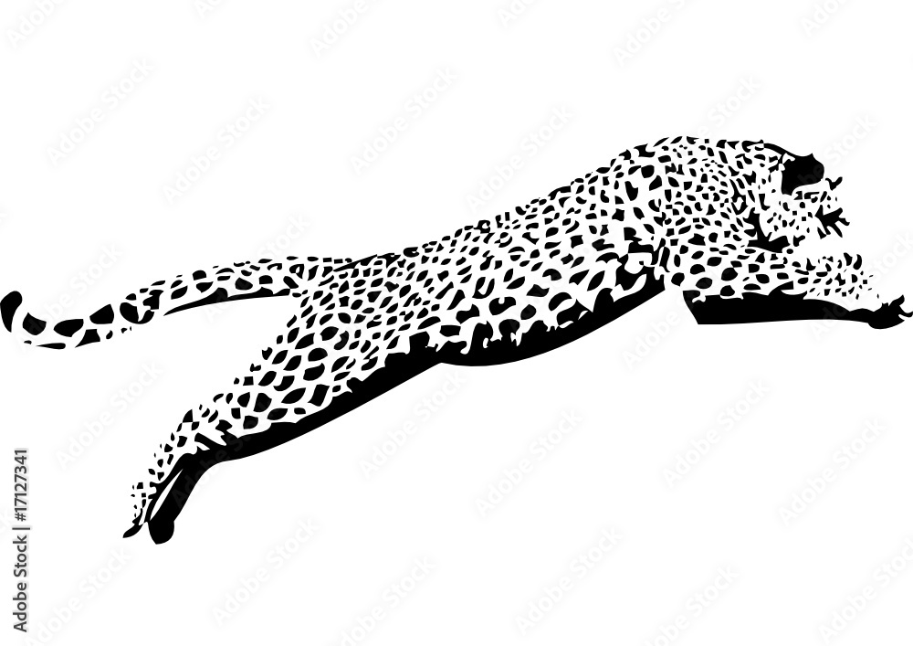 Naklejka premium Leopard09