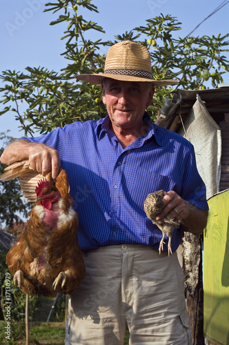 Il Contadino la quaglia e la gallina